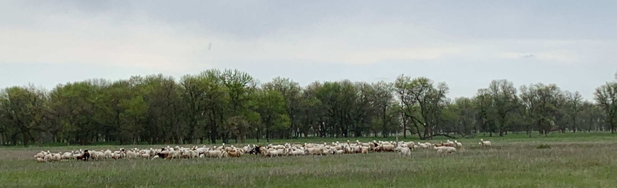 North Country Trail Sheyenne National Grassland, North Dakota 14