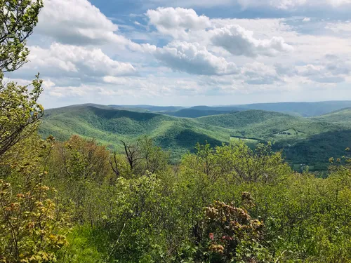 Taconic state park clearance hiking