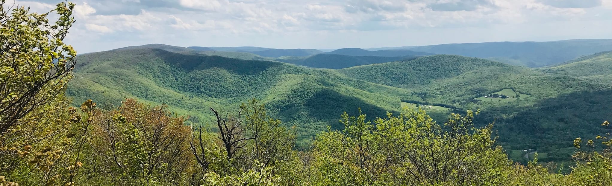 Bald Mountain via Taconic Crest Trail New York AllTrails