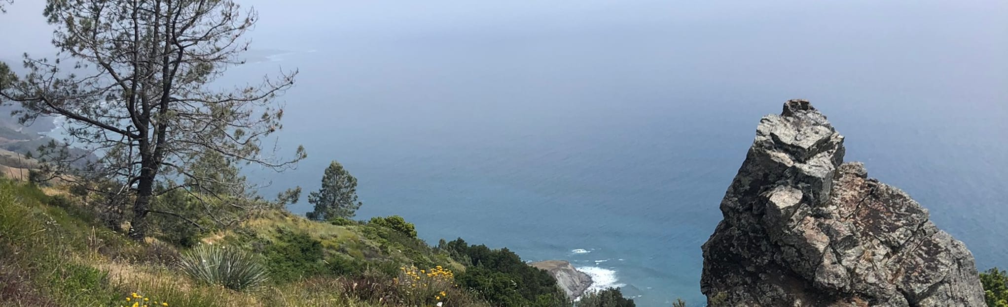 Salmon Creek Trailhead to Buckeye Camp 138 Reviews, Map California