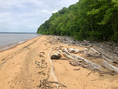 Best Trail Running Trails in Elk Neck State Park AllTrails