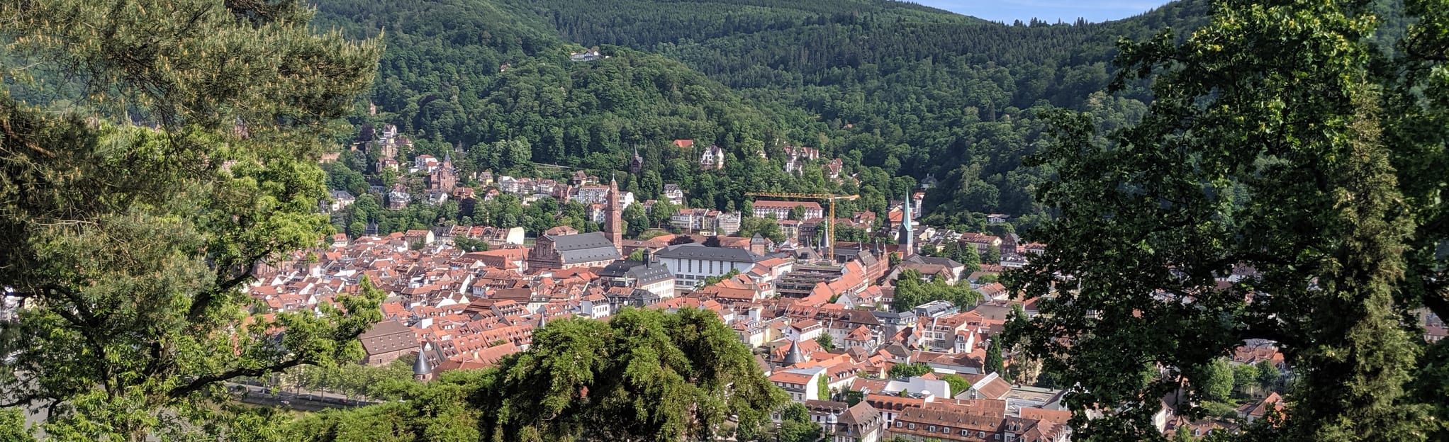 Von Schriesheim nach Heidelberg über Weißer Stein: 368 Fotos - Baden ...