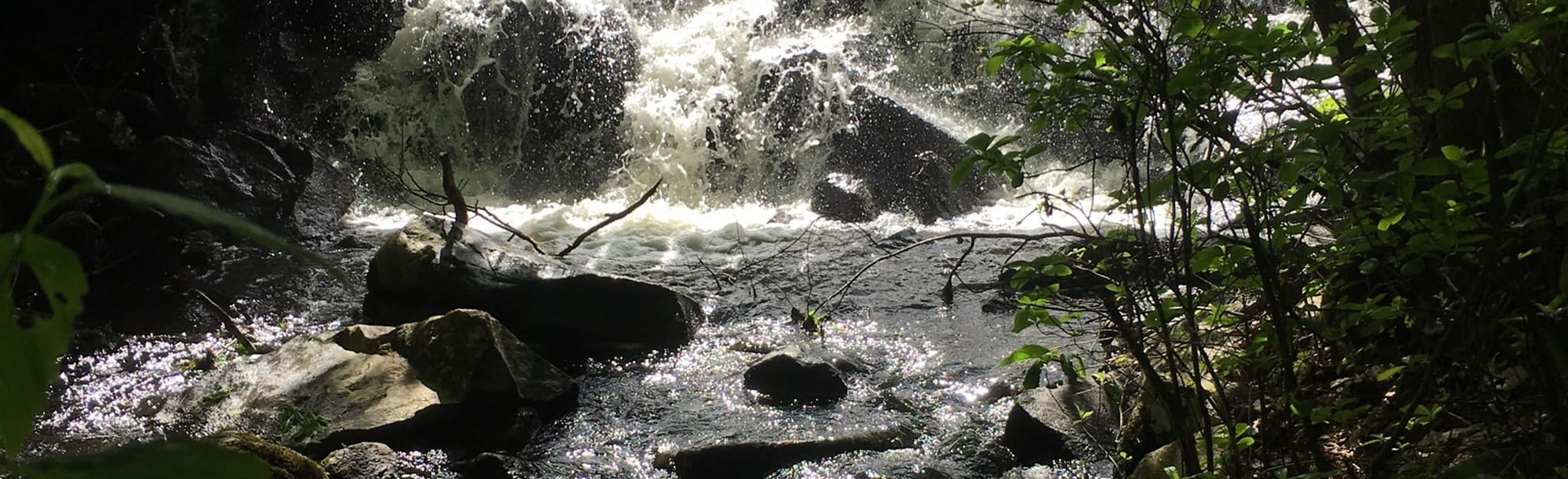 Frenchtown Park and Fry Family Nature Preserve, Rhode Island 653