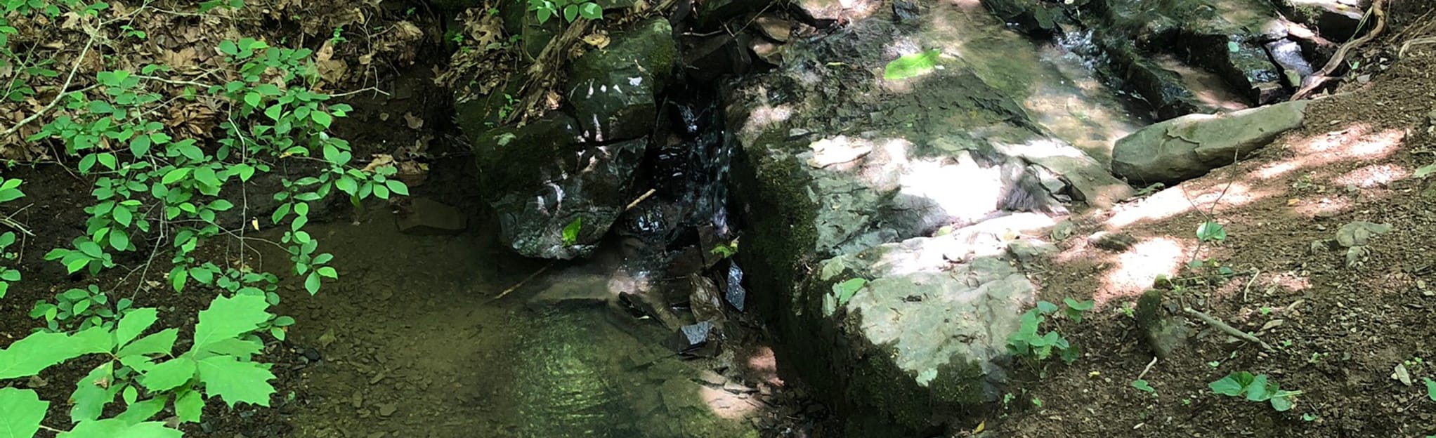 Antrim Township and Martins Mill Loop Map, Guide Pennsylvania