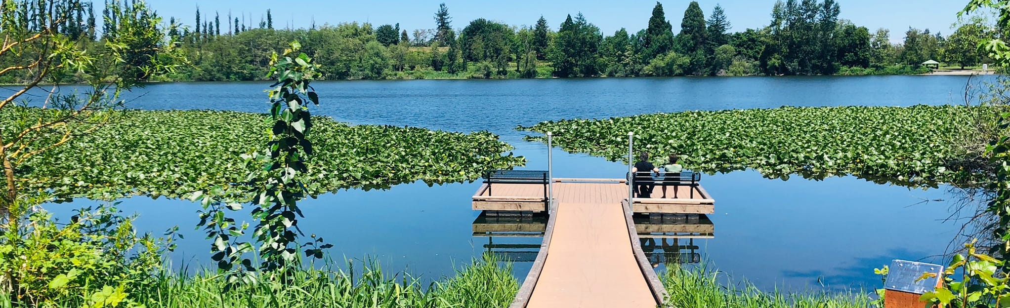 waughop-lake-loop-611-reviews-map-washington-alltrails