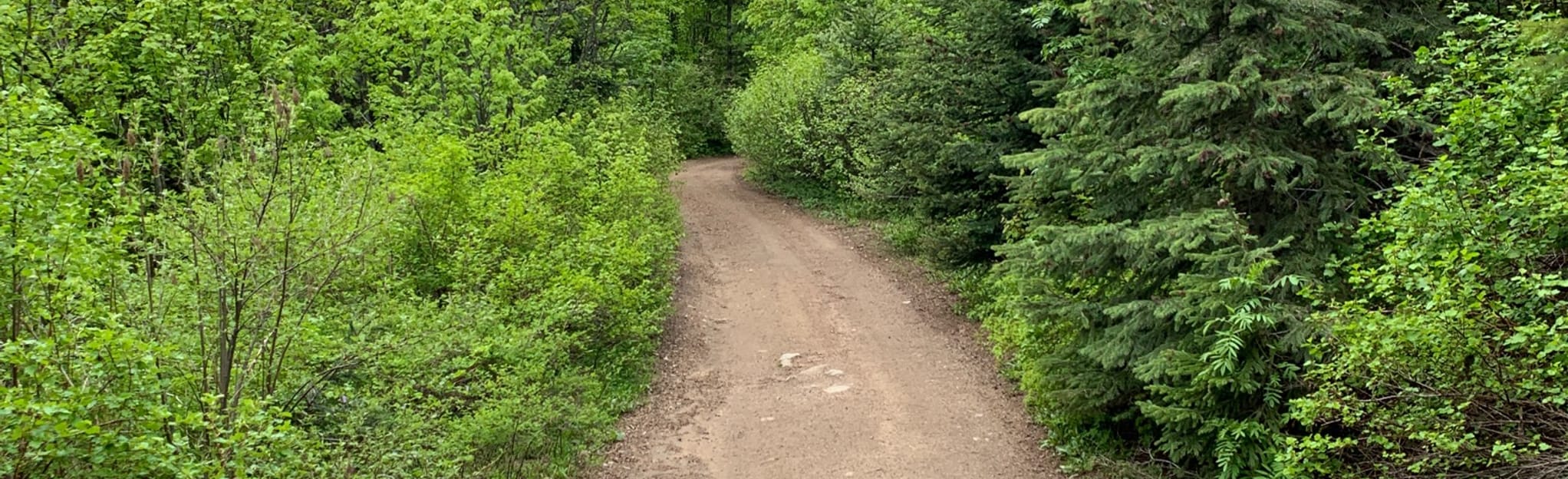 East Moscow Mountain, Idaho 377 Reviews, Map AllTrails