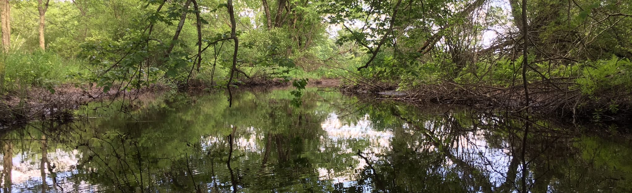 Roseland Lake Paddle Route 4 Reviews, Map Connecticut AllTrails