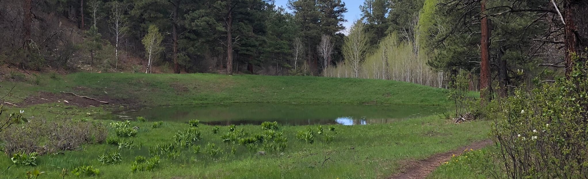 Newt Jack, Catamount, Upper Rim Loop [PRIVATE PROPERTY], Colorado 65