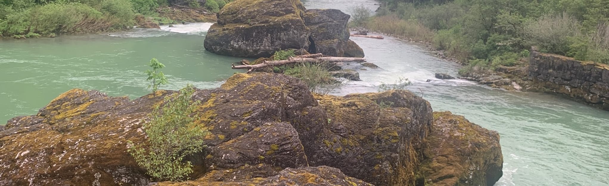 Seven Mile Creek Falls, Oregon 19 Reviews, Map AllTrails