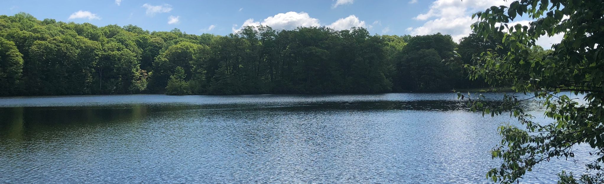 Blackberry Pond Loop Map, Guide New York AllTrails