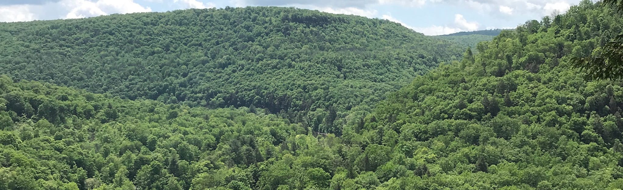 High Rock Trail, Pennsylvania - 163 Reviews, Map | AllTrails
