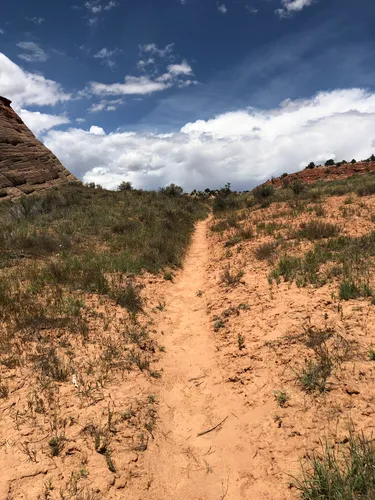 Grand staircase 2024 hiking trails