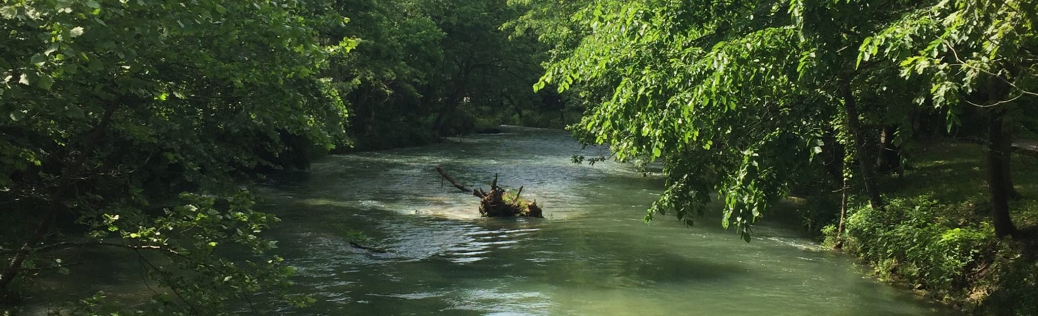 Alley Spring Overlook Trail, Missouri 270 Reviews, Map AllTrails