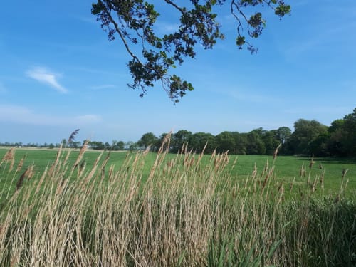 Tour 1: Kleiner Rundweg um Tossens