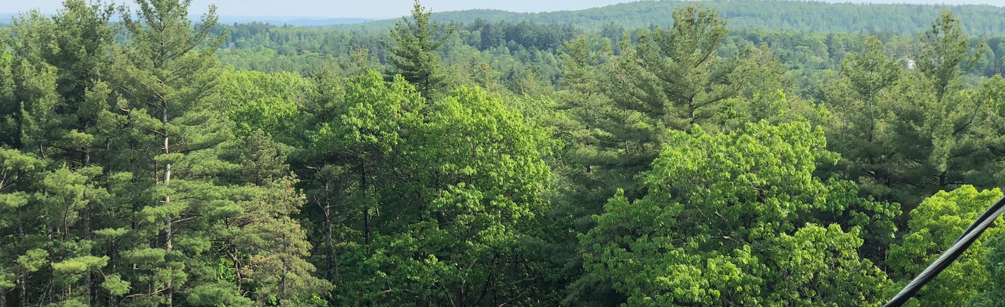 Federal Hill Lookout Tower 133 Reviews, Map New Hampshire AllTrails