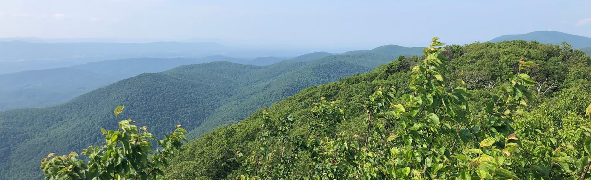 The Pinnacle Abbott Lake via Flat Top Mountain Trail , Virginia 66