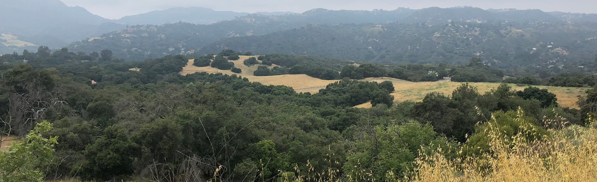 Musch Trail to Eagle Rock: 5.315 foto - California | AllTrails