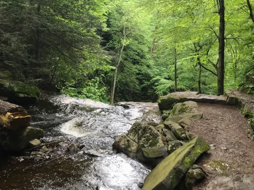 10 Best Hikes and Trails in Ricketts Glen State Park | AllTrails