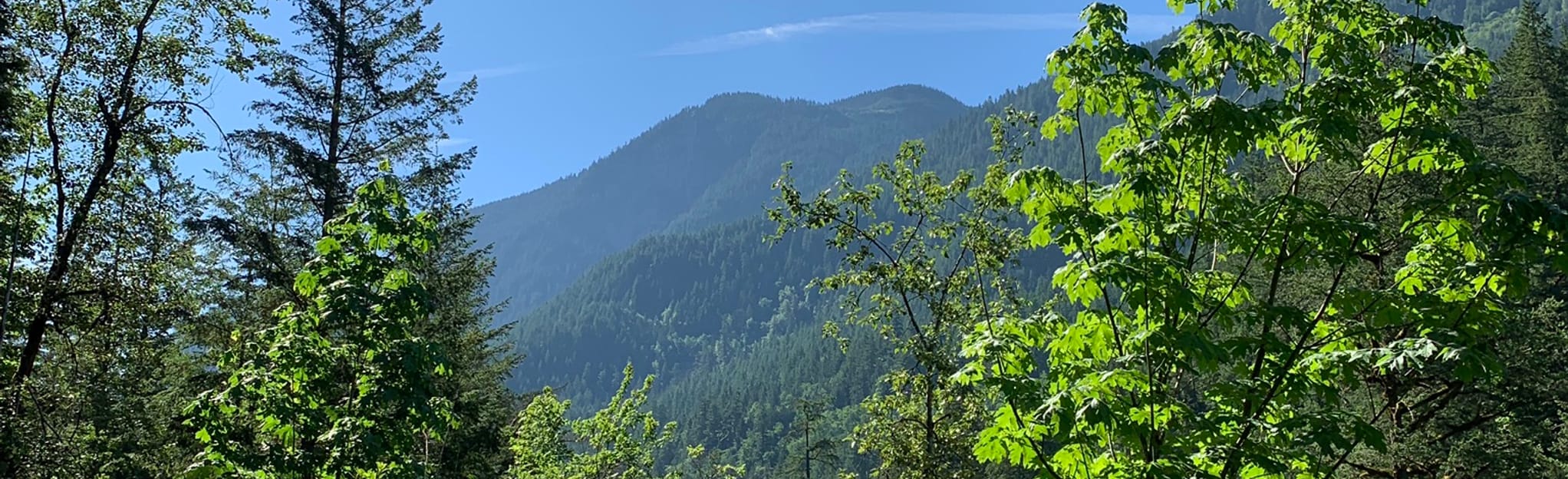 Othello Tunnels via Kettle Valley Rail Trail 187 foto Columbia