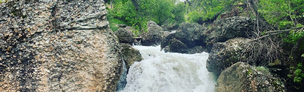 are hot springs bad for dogs