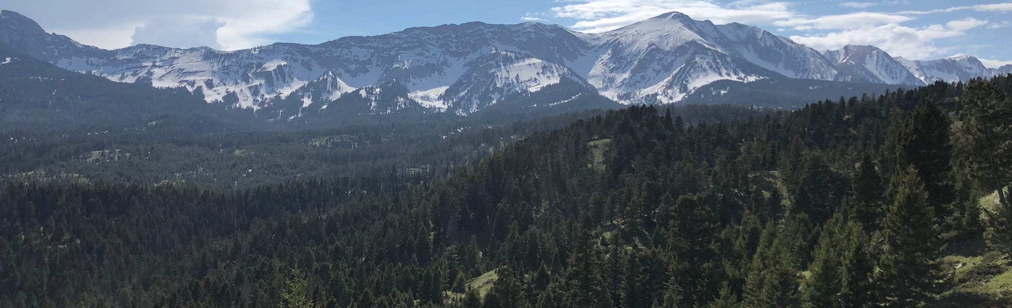 Battle Ridge, Montana 94 Reviews, Map AllTrails