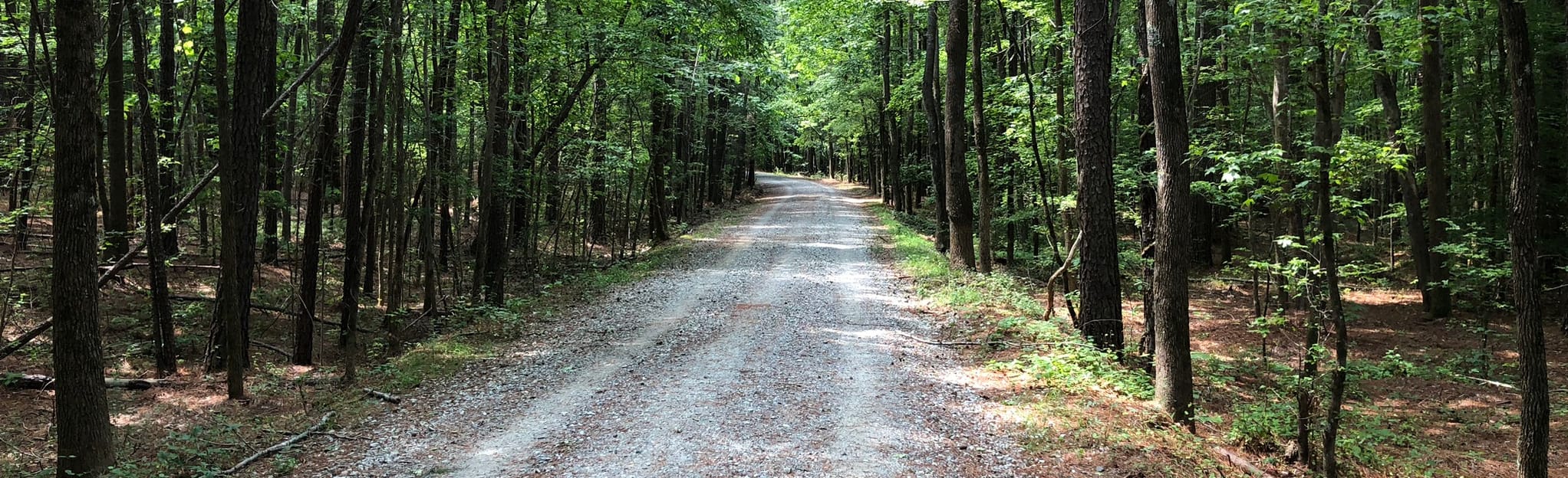 Pumpkin Loop, North Carolina 629 Reviews, Map AllTrails