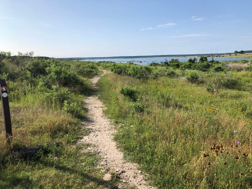 Best hikes and trails in Dana Peak Park AllTrails