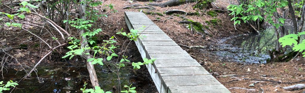 Lee Town Forest Trail Loop | Map, Guide - New Hampshire | AllTrails