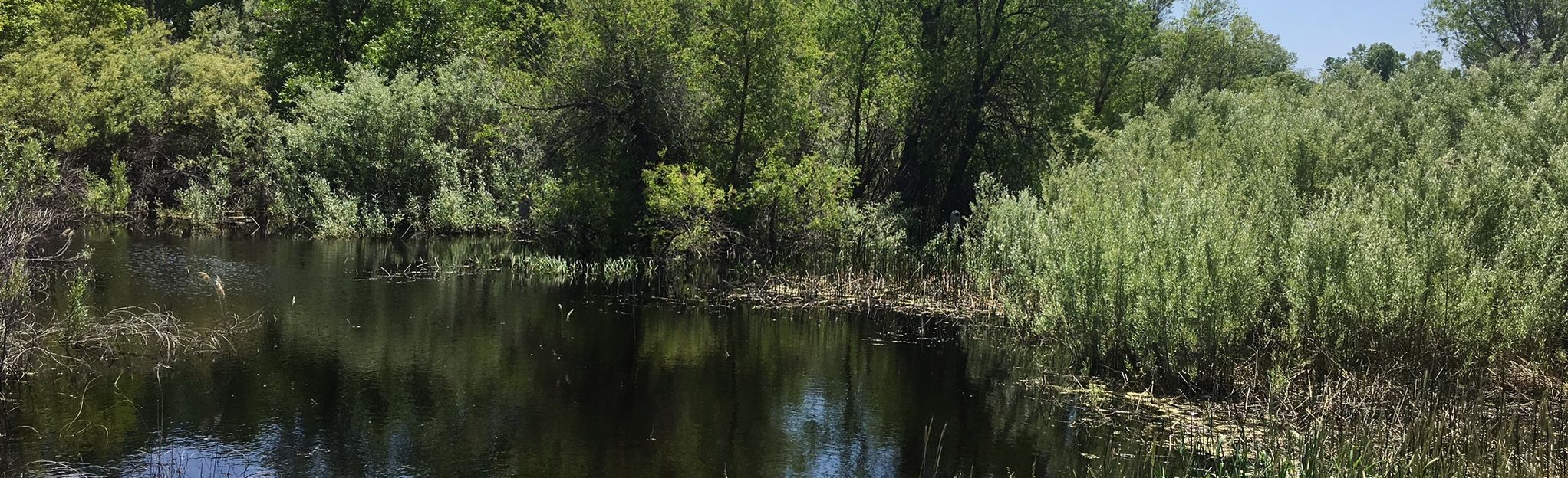 Kingfisher Wetland Trail Loop, Utah - 51 Reviews, Map | AllTrails