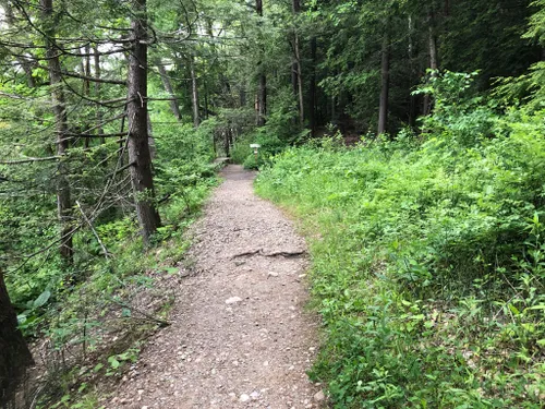 10 Best Trails and Hikes in Amherst | AllTrails