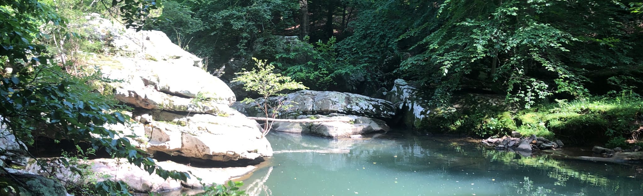 Mantle Rock Trail: 419 Fotos - Kentucky | AllTrails