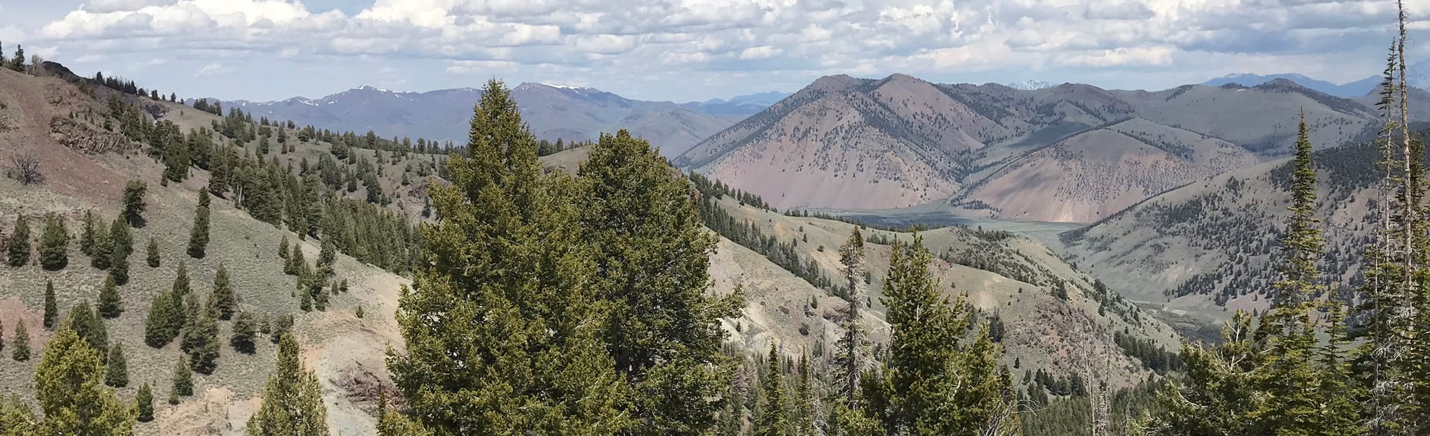 Burnt Aspen Trail, Idaho 2 Reviews, Map AllTrails
