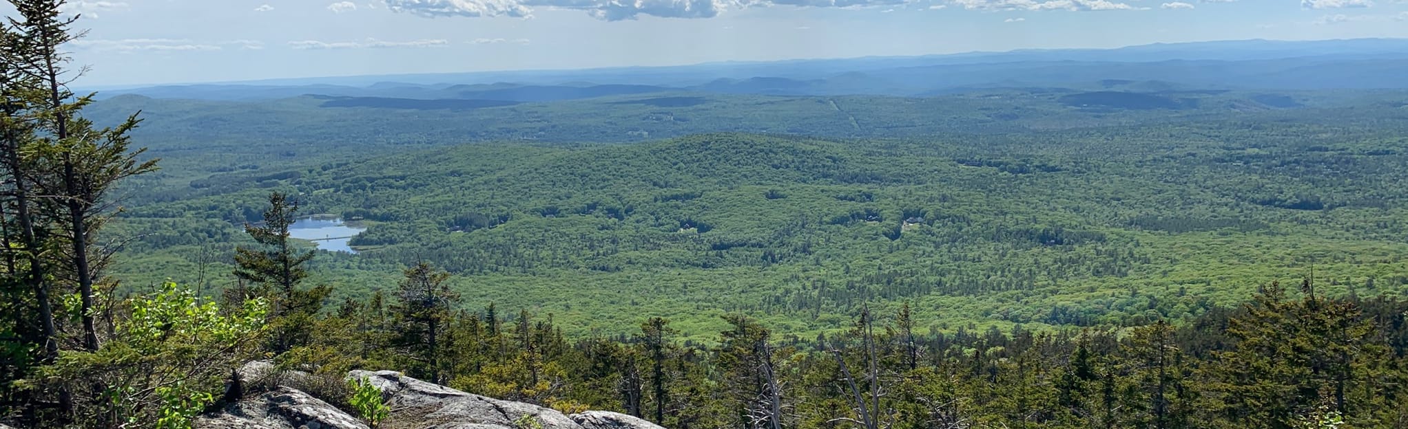 Mossy Brook and Great Pasture Loop Trail: 664 foto - New Hampshire ...