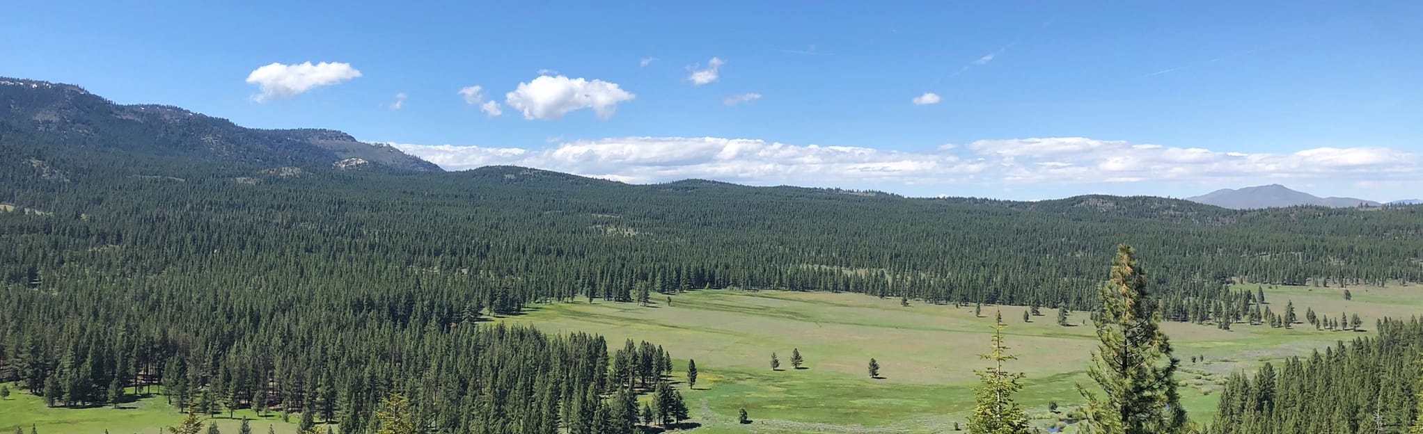 Verdi to Highway 89 via Henness Pass and Dog Valley Road, California