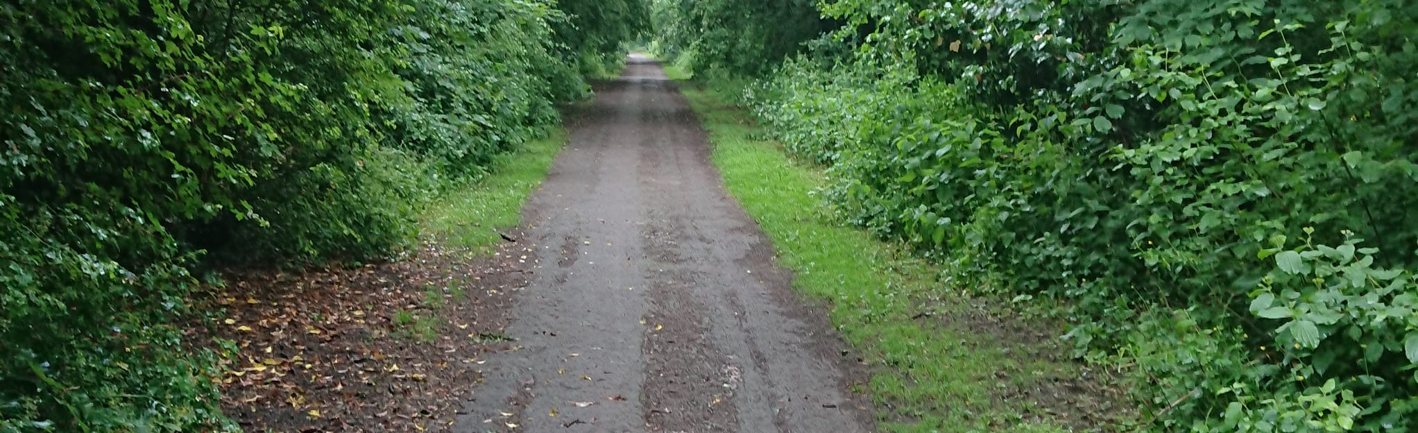 Wetherby Railway Path Spofforth to Wetherby 30 Fotos North