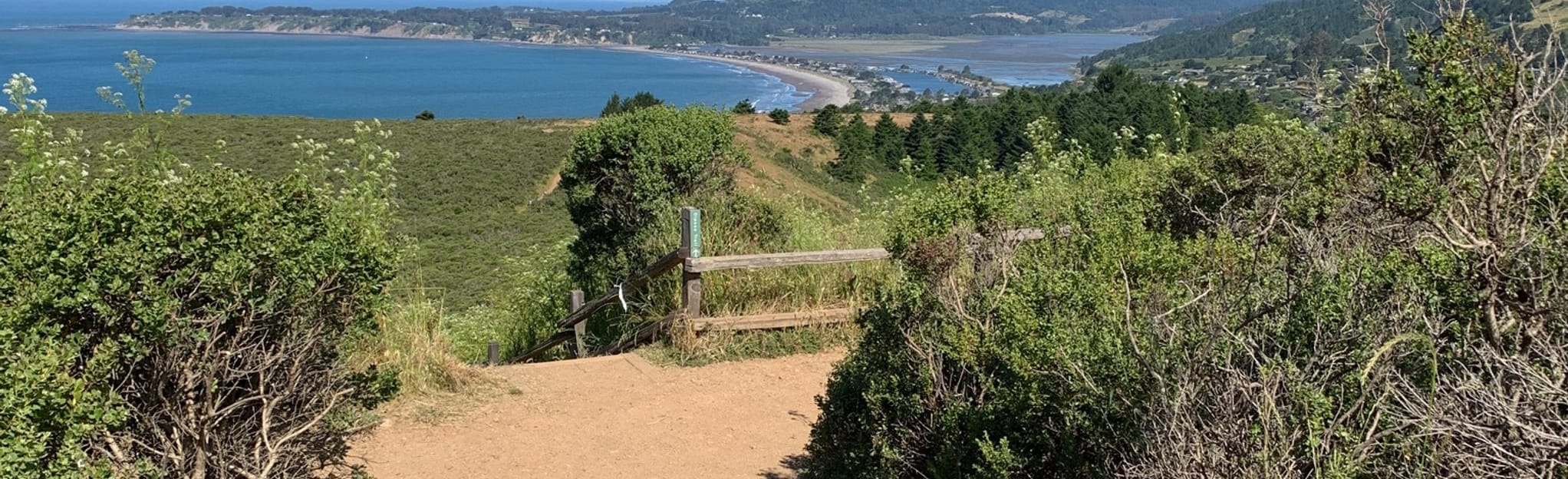Dipsea Trail, California 1,410 Reviews, Map AllTrails