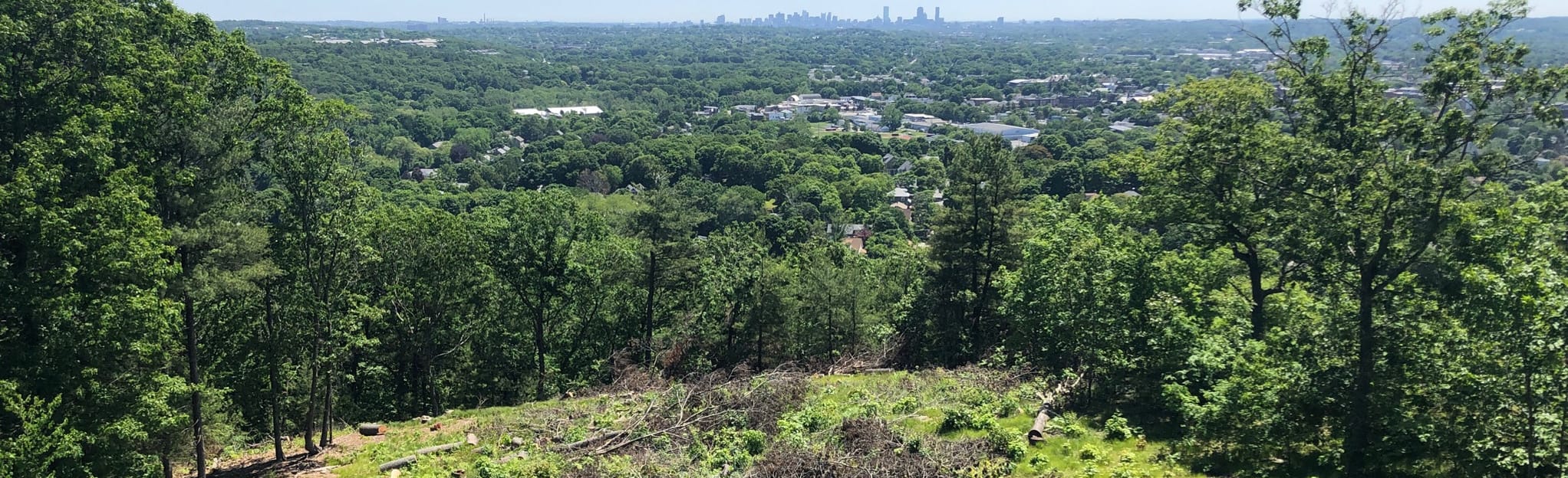 Prospect Hill Park, Massachusetts 1,554 Reviews, Map AllTrails