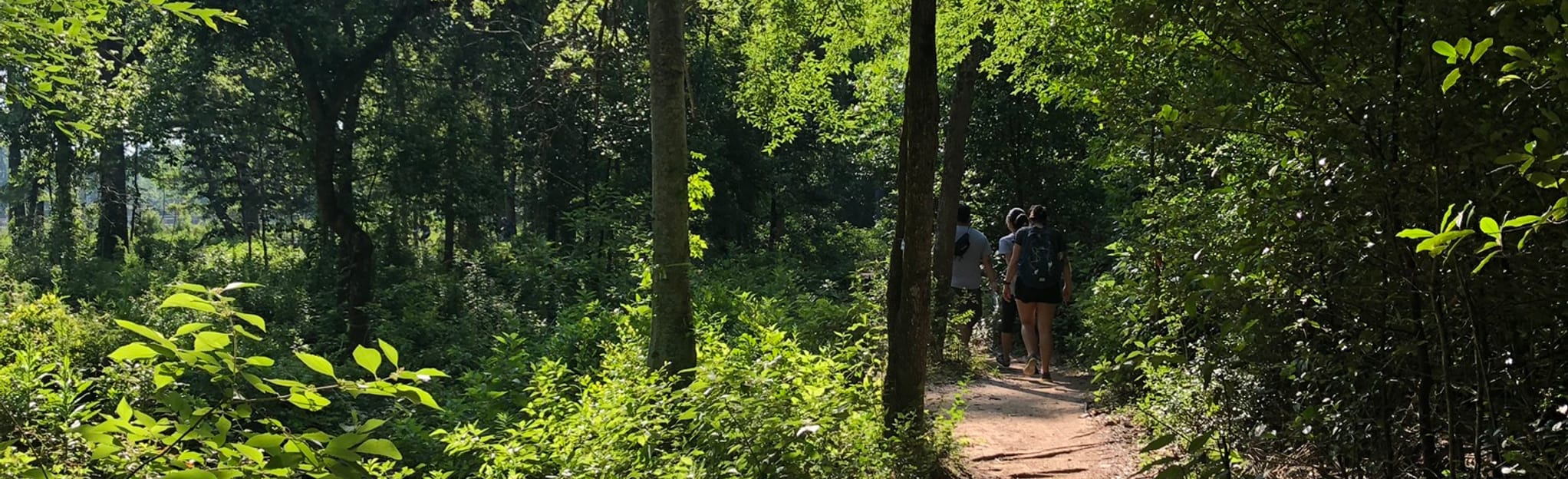 Yellow and Purple Trail Loop 186 - EyJidWNrZXQiOiJhc3NldHMuYWxsdHJhaWxzLmNvbSIsImtleSI6InVwbG9hZHMvcGhvdG8vaW1hZ2UvMjI4ODMxMjAvMWY0NzRjNGEzZWFmOTViMjczNTdkZmFmMzUwZTcwZjEuanBnIiwiZWRpdHMiOnsidG9Gb3JtYXQiOiJqcGVnIiwicmVzaXplIjp7IndpZHRoIjoyMDQ0LCJoZWlnaHQiOjYyNCwiZml0IjoiY292ZXIifSwicm90YXRlIjpudWxsLCJqcGVnIjp7InRyZWxsaXNRdWFudGlzYXRpb24iOnRydWUsIm92ZXJzaG9vdERlcmluZ2luZyI6dHJ1ZSwib3B0aW1pc2VTY2FucyI6dHJ1ZSwicXVhbnRpc2F0aW9uVGFibGUiOjN9fX0=