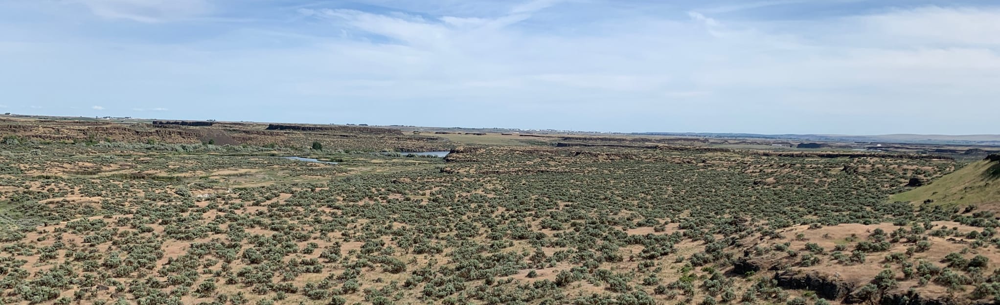 Frog Lake Trail, Washington 143 Reviews, Map AllTrails