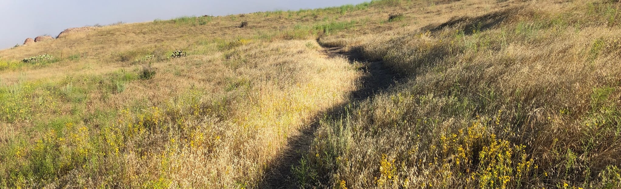 Camarillo Springs [PRIVATE PROPERTY], California 46 Reviews, Map