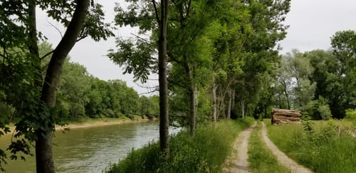 Moosburger Stausee - Echinger Stausee
