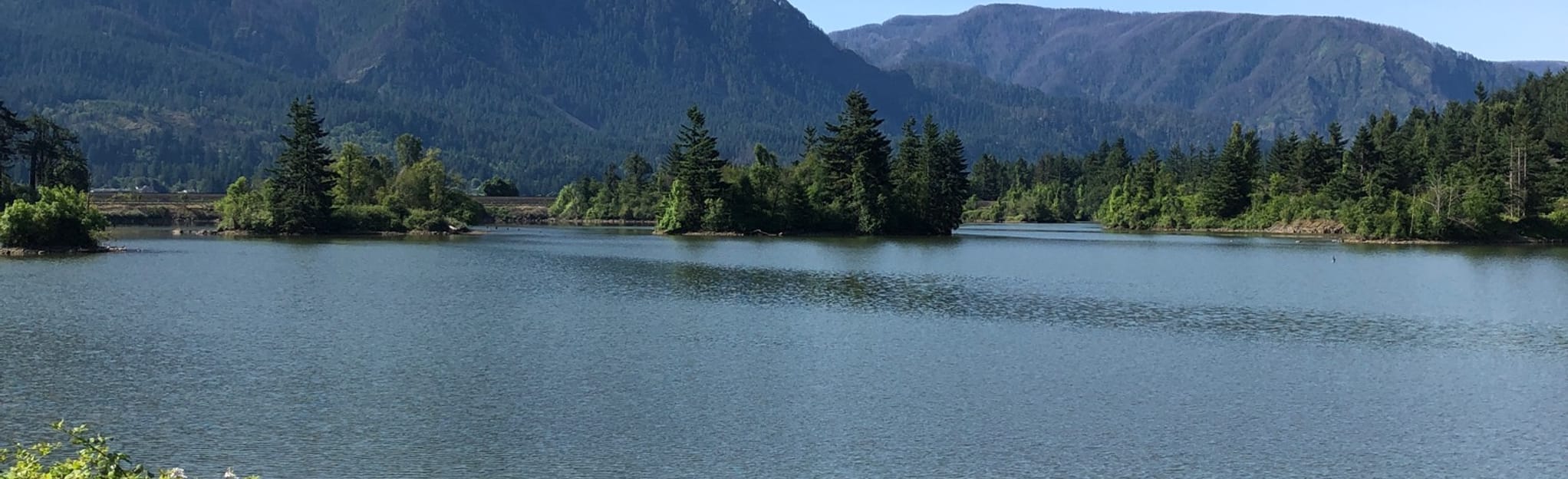 Mill Pond Trail, Washington 22 Reviews, Map AllTrails