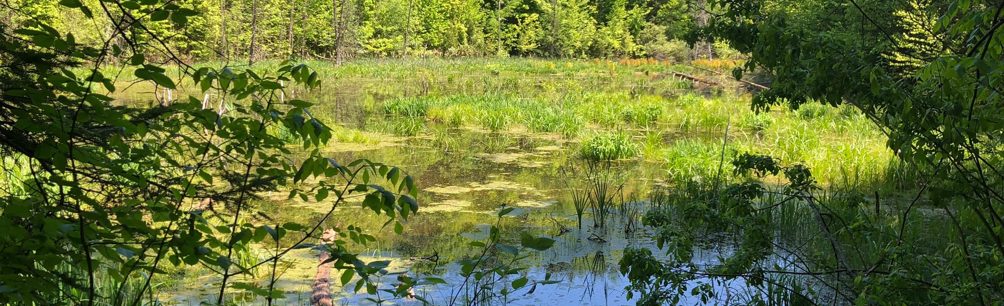 Humber Valley Heritage Trail 70 Reviews, Map Ontario, Canada AllTrails