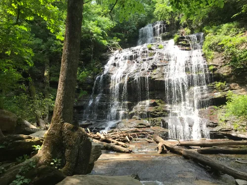 10 Best Waterfall Trails in Oconee State Park | AllTrails