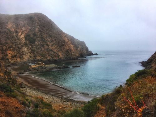 Photos of Playa El Cocodrilo - Baja California, Mexico | AllTrails