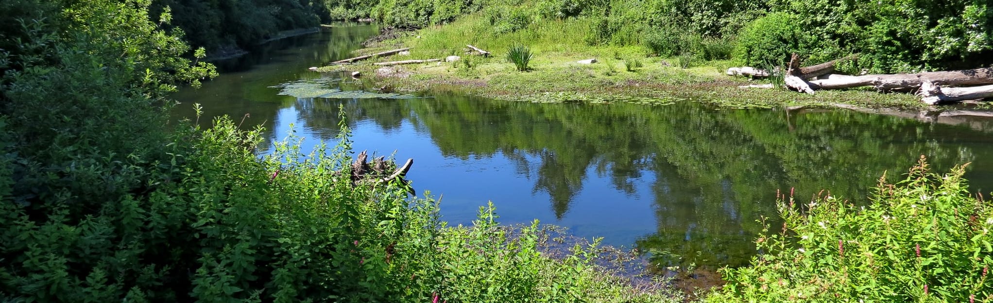 Redmond Connector PSE Trail and - EyJidWNrZXQiOiJhc3NldHMuYWxsdHJhaWxzLmNvbSIsImtleSI6InVwbG9hZHMvcGhvdG8vaW1hZ2UvMjI5MTUwMjcvNzkxZDQ3OTg3MWZhNjEzMjM2NzU3MWY2NTE2NzNlNWEuanBnIiwiZWRpdHMiOnsidG9Gb3JtYXQiOiJqcGVnIiwicmVzaXplIjp7IndpZHRoIjoyMDQ0LCJoZWlnaHQiOjYyNCwiZml0IjoiY292ZXIifSwicm90YXRlIjpudWxsLCJqcGVnIjp7InRyZWxsaXNRdWFudGlzYXRpb24iOnRydWUsIm92ZXJzaG9vdERlcmluZ2luZyI6dHJ1ZSwib3B0aW1pc2VTY2FucyI6dHJ1ZSwicXVhbnRpc2F0aW9uVGFibGUiOjN9fX0=