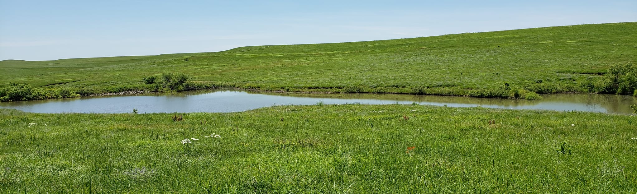 Prairie, Gas House and Davis Trail Loop , Kansas 143 Reviews, Map