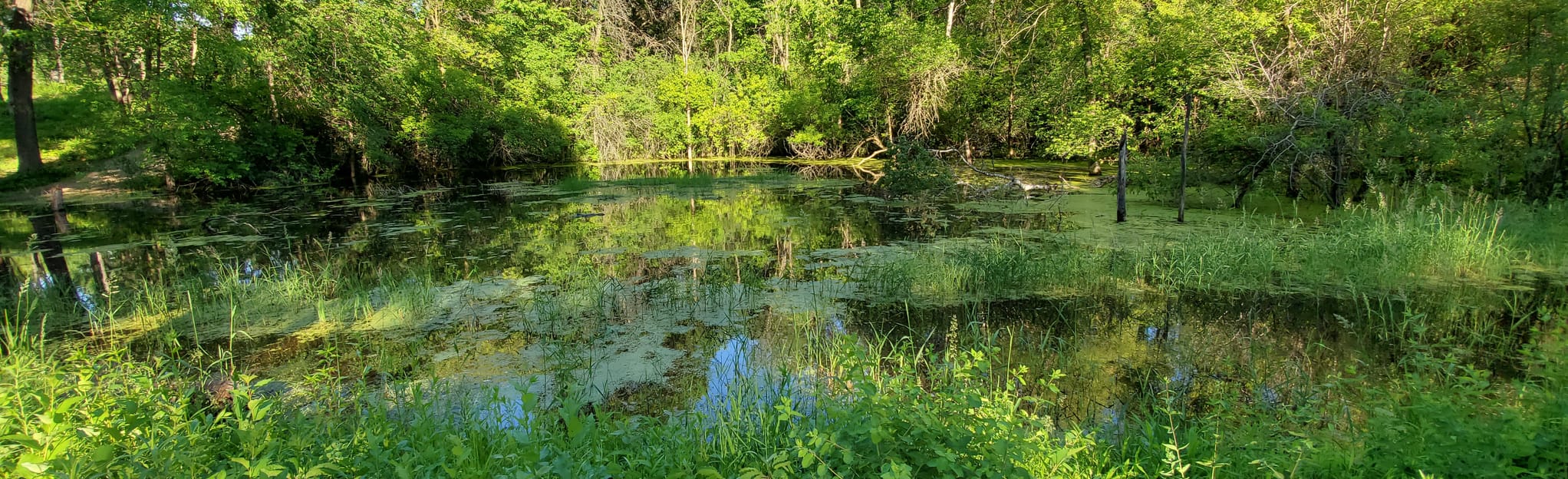 Terrace Oaks Trail, Minnesota 863 Reviews, Map AllTrails
