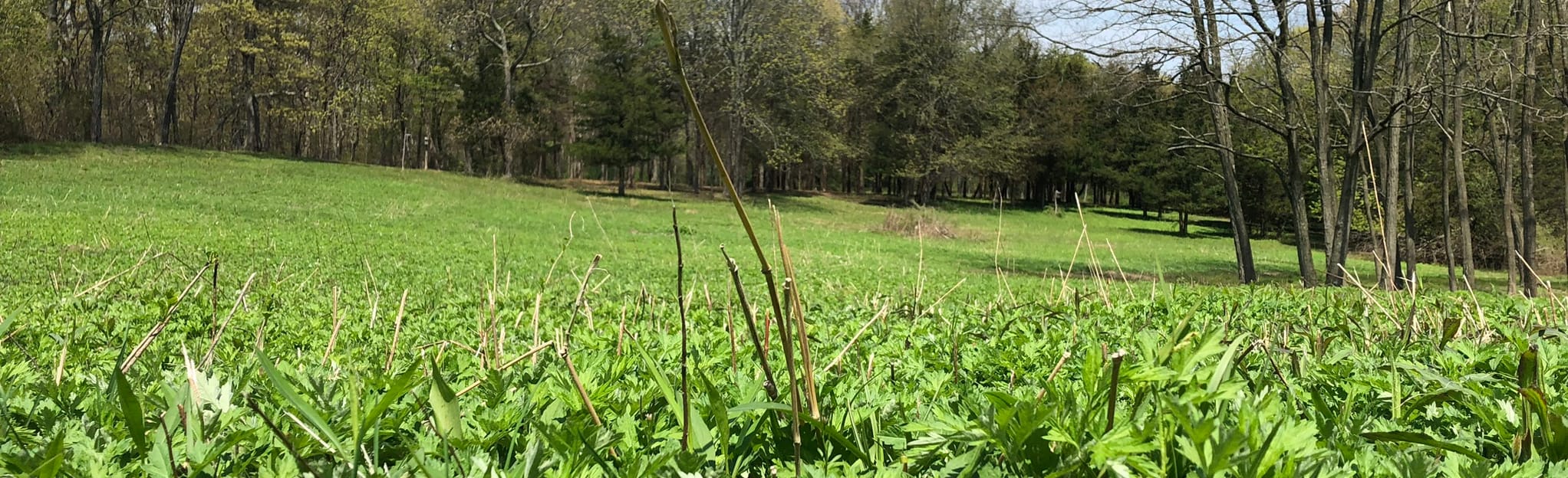 Hoyt Farm Nature Preserve Loop, New York 80 Reviews, Map AllTrails