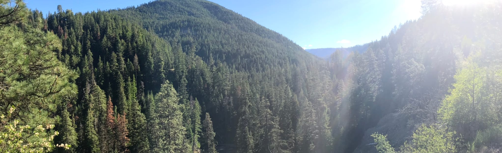 Russell Ridge and Rimrock Lake OHV Loop: 7 Reviews, Map - Washington ...
